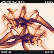 Wallivor Feat. Boskii - Liquify