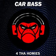 Car Bass - Skin To Skin