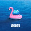 Temporary Hero - Wonder (Bad Space Monkey Remix)