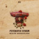 Psychotic Storm - Mexico Wonderland (Original Mix)