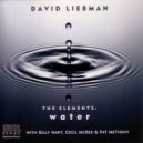 Dave Liebman & Pat Metheny & Billy Hart & Cecil McBee - Storm Surge (feat. Cecil McBee) (from The Elements - Water)