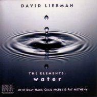 Pat Metheny - Guitar Interlude