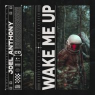 Joel Anthony - Wake Me Up