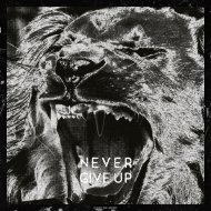 Bravetone - Never Give Up