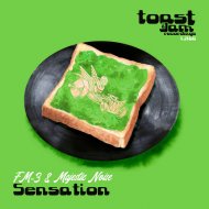 FM-3, Majestic Noise - Sensation