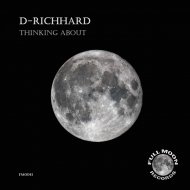 D-Richhard - Thinking About