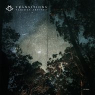 R/D/V - Grey Rose