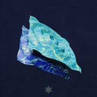 PRAANA - Seismic