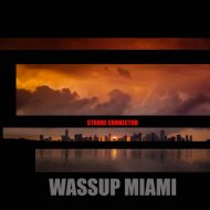 Strobe Connector - Wassup Miami