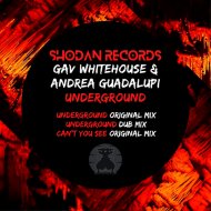 Gav Whitehouse - Can\'t You See