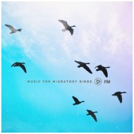 Suncastle - Pegasi