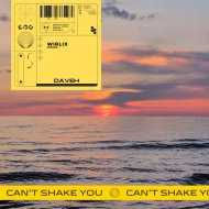 DaveH - Can\'t Shake You