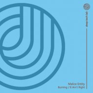 Malice Entity - It Ain\'t Right