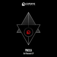 PWCCA - Chromosome