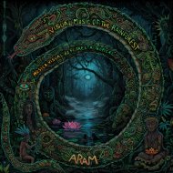 Aram - Valley of Voices