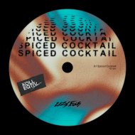 Lazy Fous - Spiced Cocktail