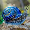 HALL HOGAN - BreakSnail